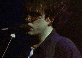 picture of robert